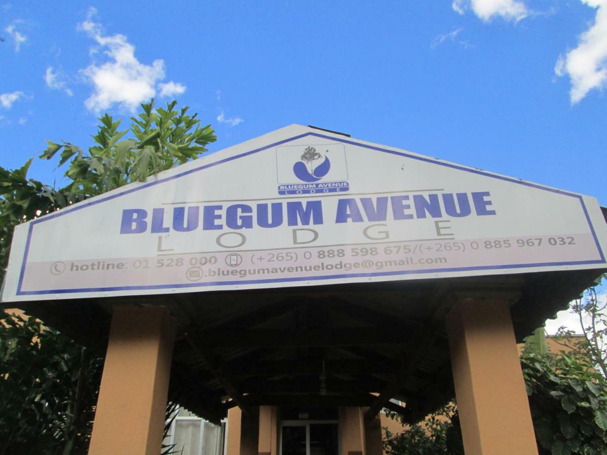 Bluegum Avenue Lodge Zomba Ngoại thất bức ảnh